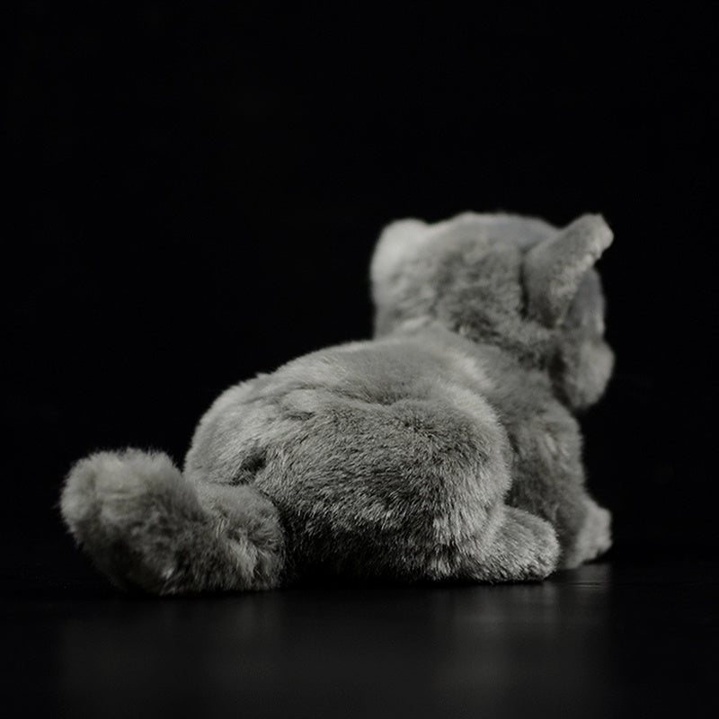 Cute Doll Simulation Cat Plush Toy