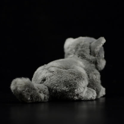 Cute Doll Simulation Cat Plush Toy