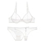 Transparent mesh bra set
