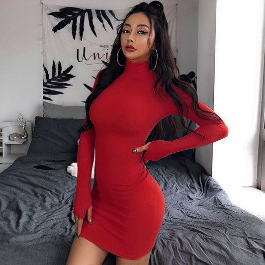Half-high collar long sleeve dress