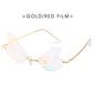 Dragonfly wings sunglasses