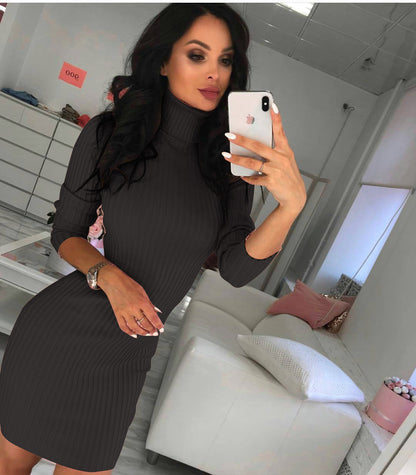Sexy Turtleneck Slim Long Sleeve Dress