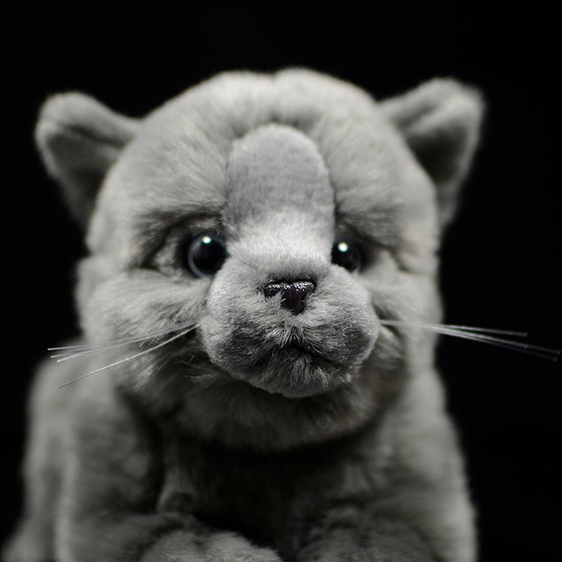 Cute Doll Simulation Cat Plush Toy