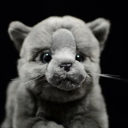 Cute Doll Simulation Cat Plush Toy