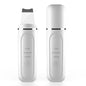 Pore Cleansing and Facial Cleanser