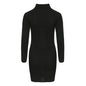 Turtleneck Slim Long Sleeve Dress
