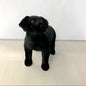 Little Black Dog Plush Toy Labrador Children's Birthday Gift Doll