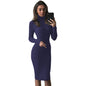 Ladies Fashion Slim Long Sleeve Turtleneck Dress